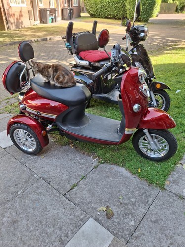 Green power mobility scooter - power,